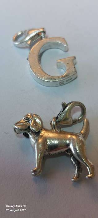 Wow!! Collection of 7 Thomas Sabo charms R2100