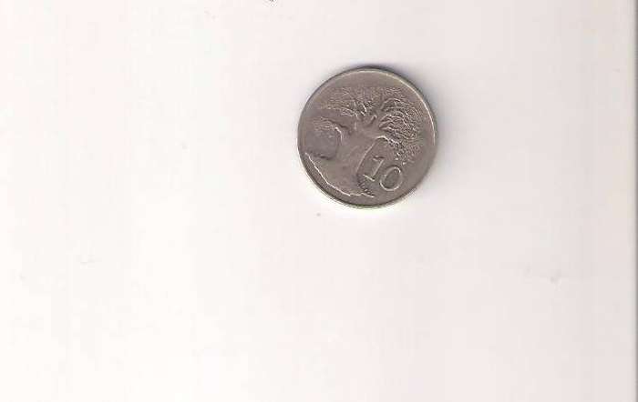 Zimbabwean 10c 1980