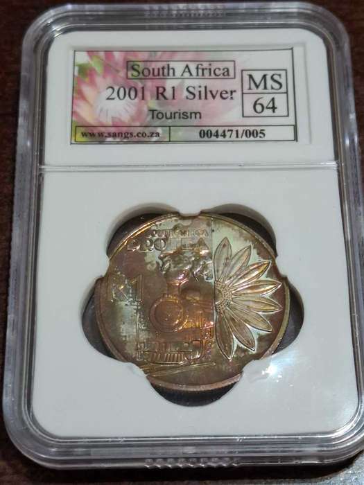 2001 Silver R1 Tourism