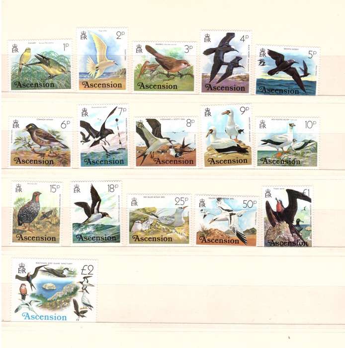 Ascension 1976 - Birds - UMM
