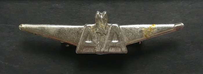 1970'S AMERICAN AIRLINES FLIGHT PIN/BADGE 14X50MM