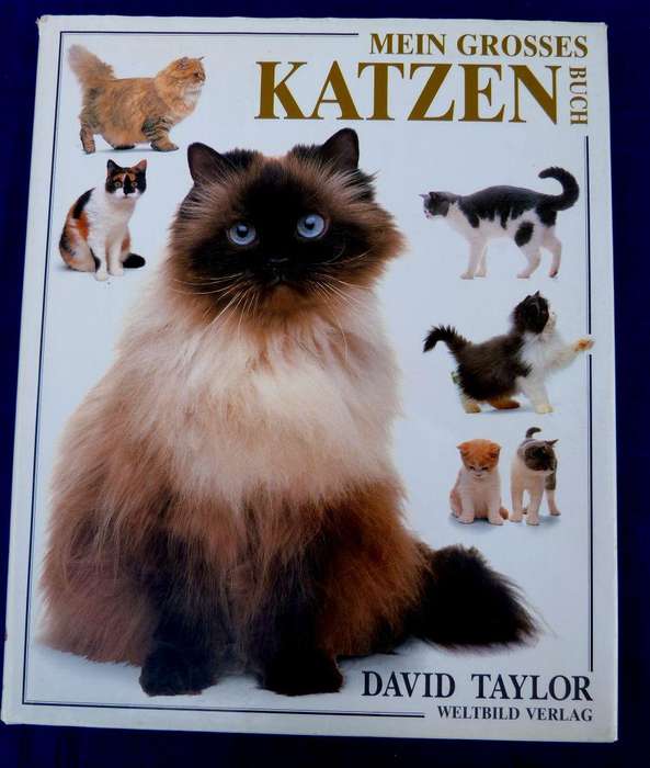 MEIN GROSSES KATZENBUCH. COFFEETABLE BOOK.