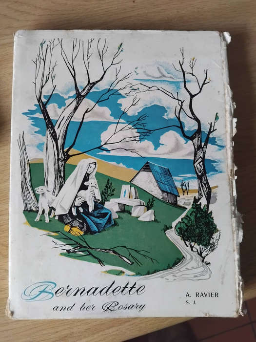 BIBLICAL BOOKS AS PER PHOTOS.  R45.00 THE LOT