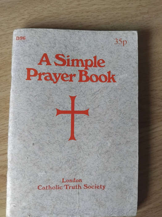 BIBLICAL BOOKS AS PER PHOTOS.  R45.00 THE LOT