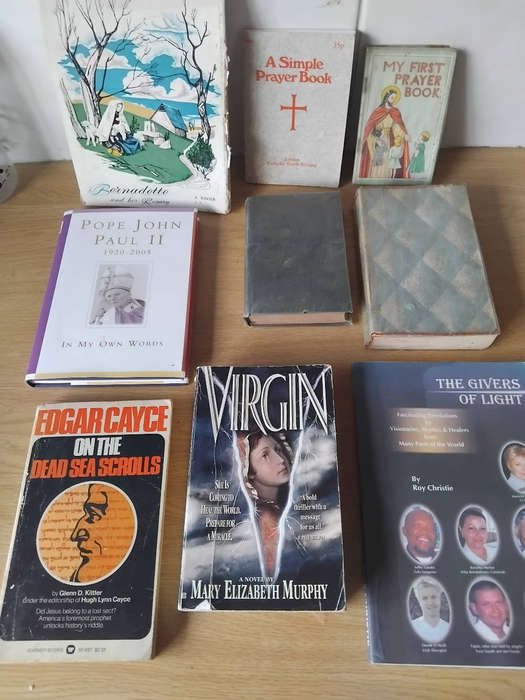 BIBLICAL BOOKS AS PER PHOTOS.  R45.00 THE LOT