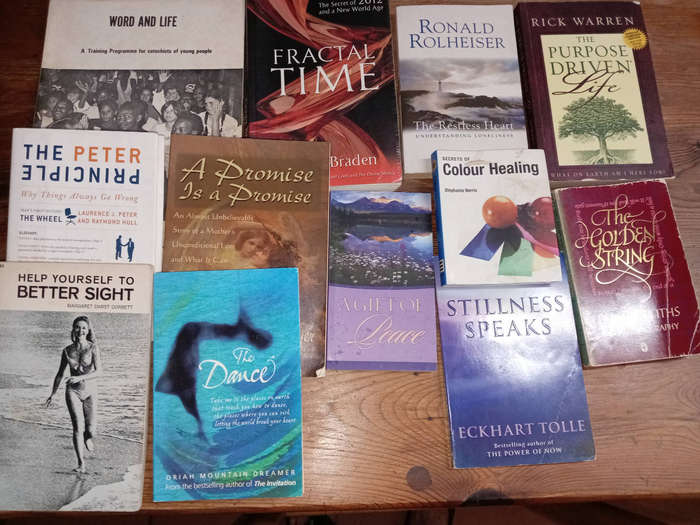 12  MOTIVATIONAL BOOKS AS PER PHOTOS. R70. 00 THE LOT