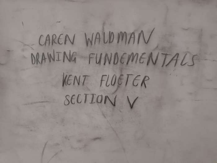 caren waldman