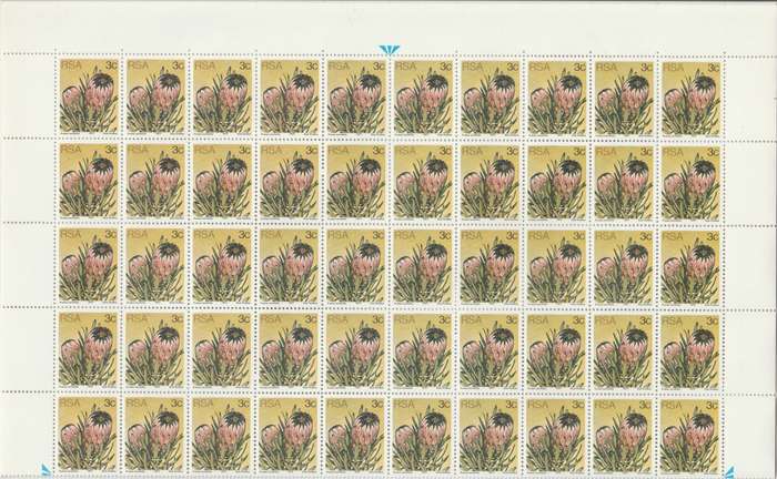 RSA 3rd Definitive Issue SACC 420a x100 B (1976-10-01)