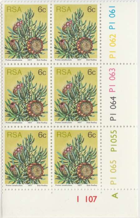 RSA 3rd Definitive Issue SACC 423a x6 A