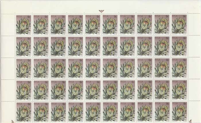 RSA 3rd Definitive Issue SACC 426a x100 (1979-07-11)