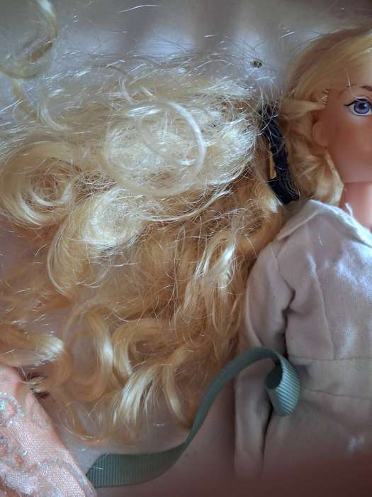 Doll - barbie like but not a barbie