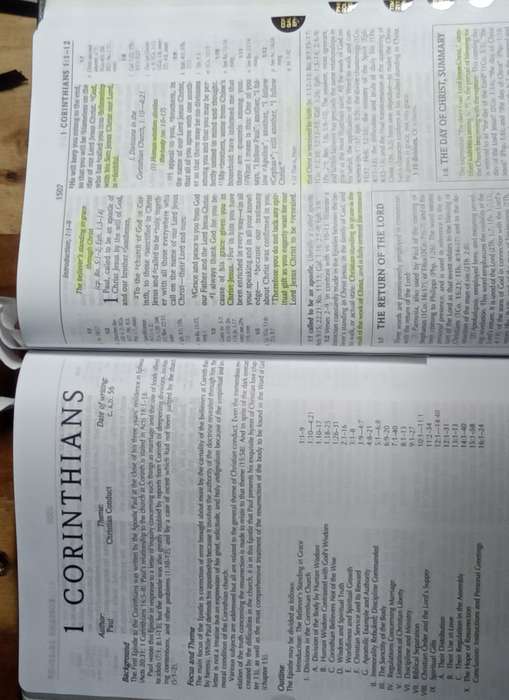BIBLES: Select NIV various Bibles