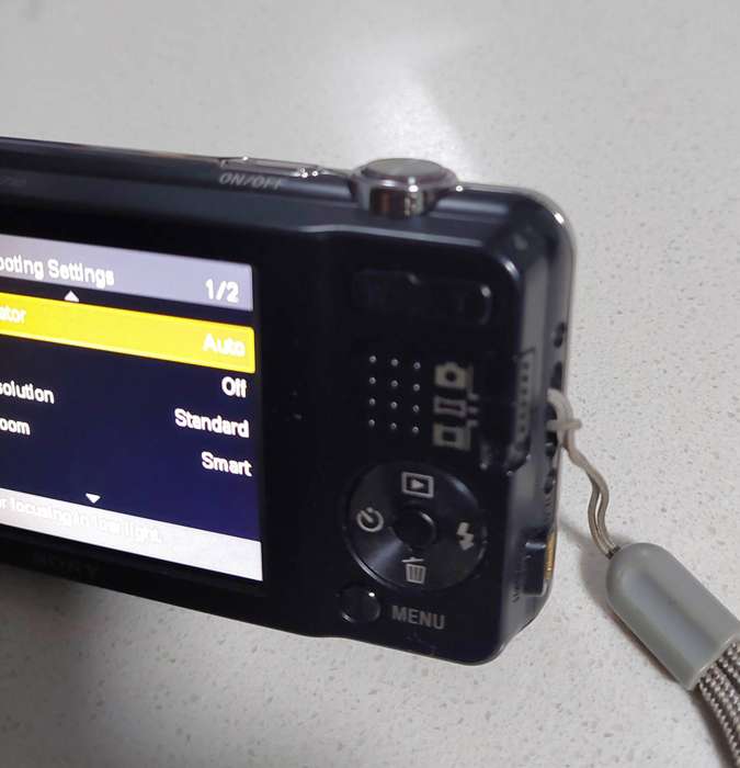 Sony Cybershot digital camera DSC-W710 (16.1 m/pixel, 5 x optical zoom, HD video recording)