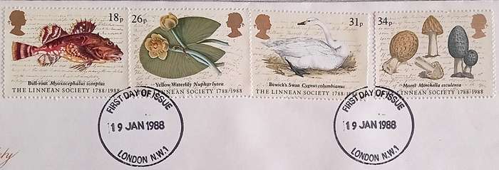 England 1988 Addressed FDC The Linnean  Society.