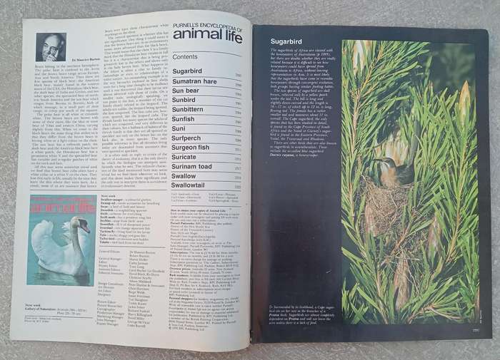 1970 Purnell's Encyclopedia Of Animal Life No83 (Vol6 No3 )