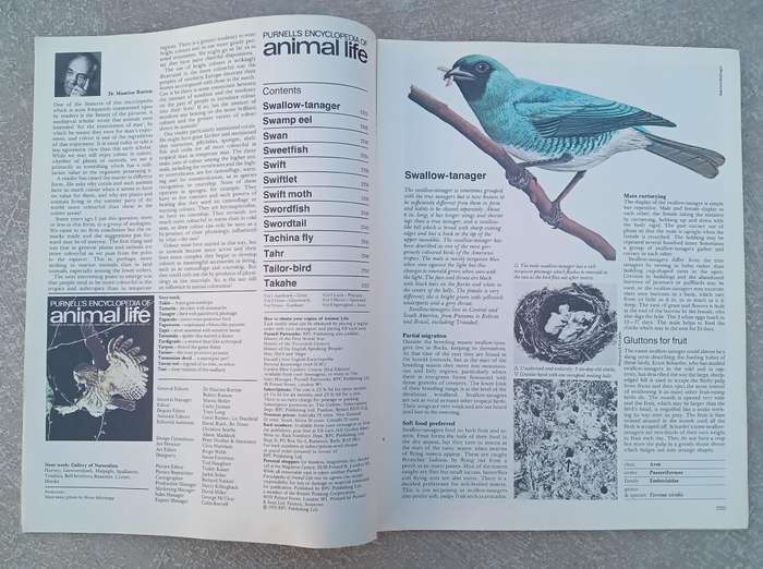 1970 Purnell's Encyclopedia Of Animal Life No84 (Vol6 No4)