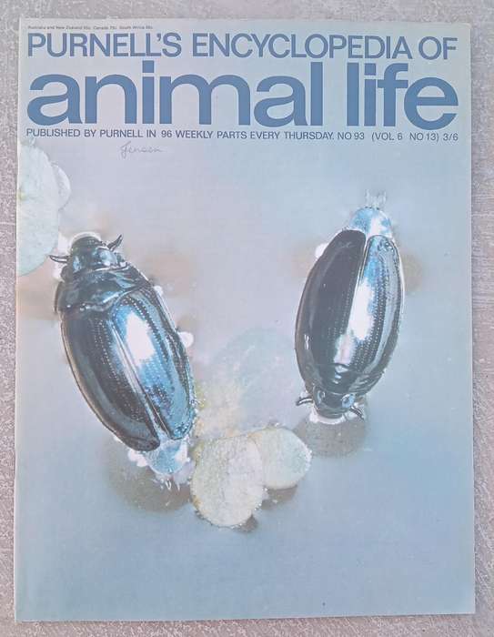 1970 Purnell's Encyclopedia Of Animal Life No 93 (Vol6 No13)