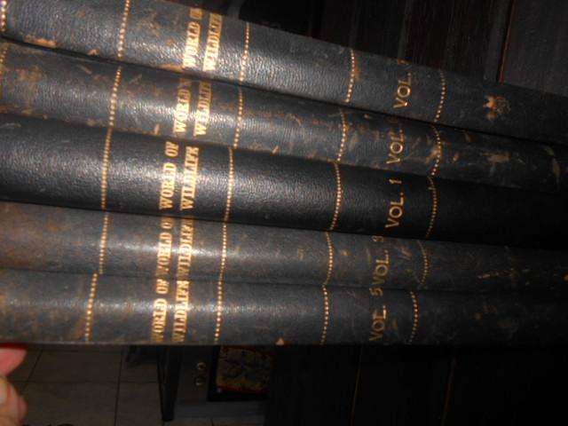 World of Wildlife (5 illus volumes out of a set) Lovely animal  colour illus.