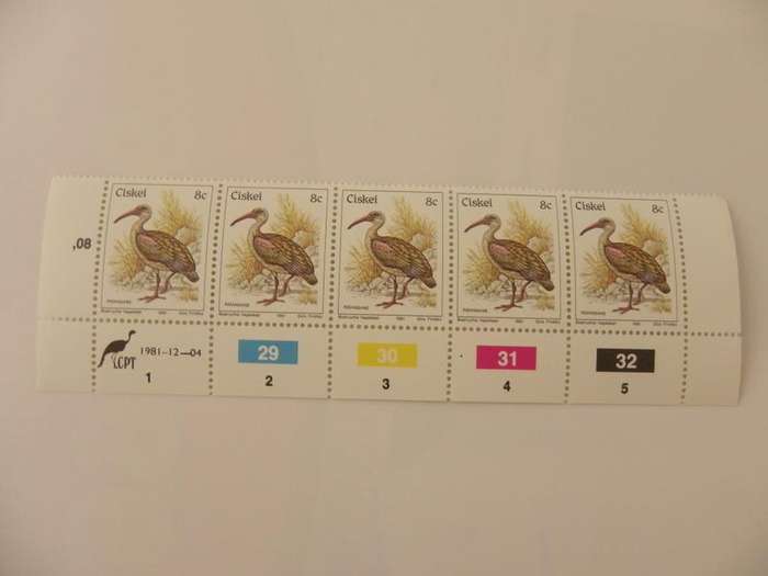 Ciskei 1st Definitive Series (1981) - Birds 8c Mint Control Block #29 Dated 1981-12-04