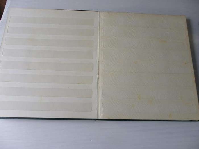 Green Stockbook with 10 Pages still in good condition