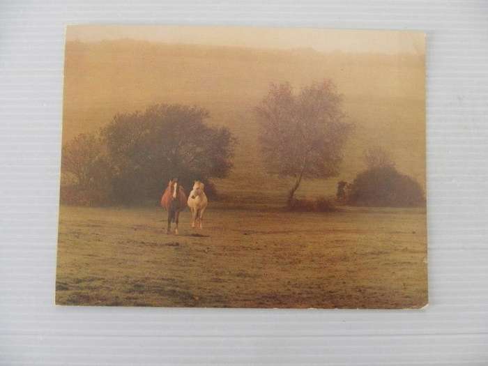 Great Britain (1984) - Used Postcard