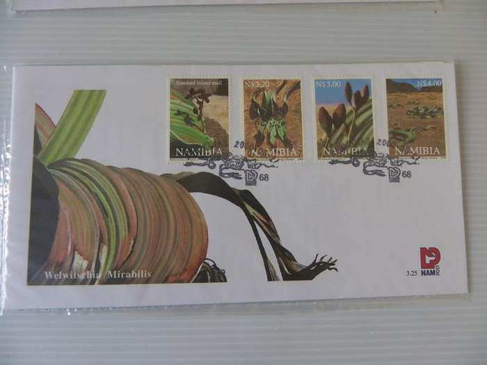 Namibia 3.25 (2000) - Welwitschia Plant Official FDC