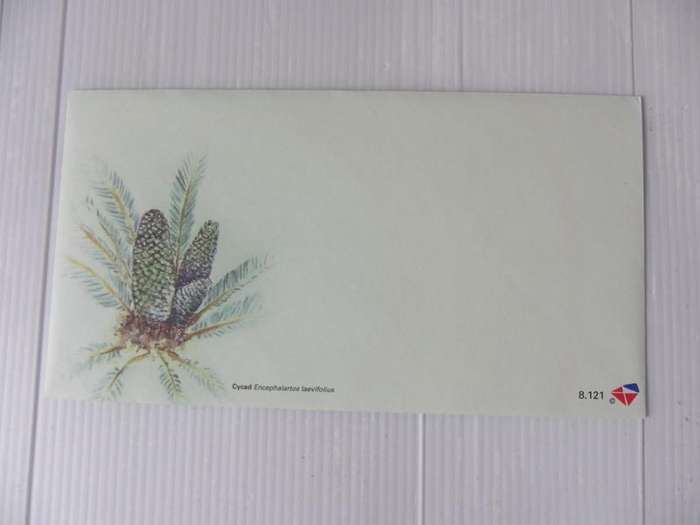 RSA 8.121 (2019) - Cycads Unserviced FDC