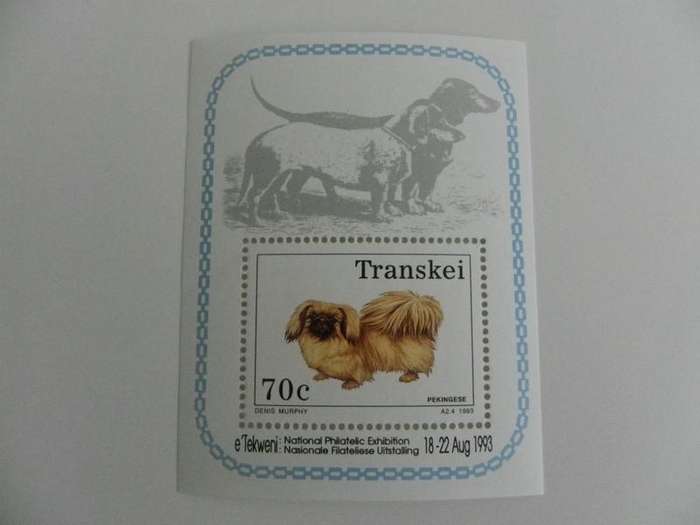 Transkei SAF08 (1983) - Dog Breeds Mint Miniature Sheet