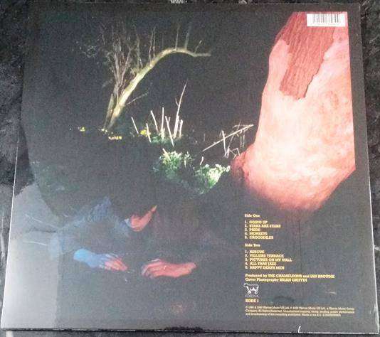 ECHO AND THE BUNNYMEN Crocodiles LP VINYL Record