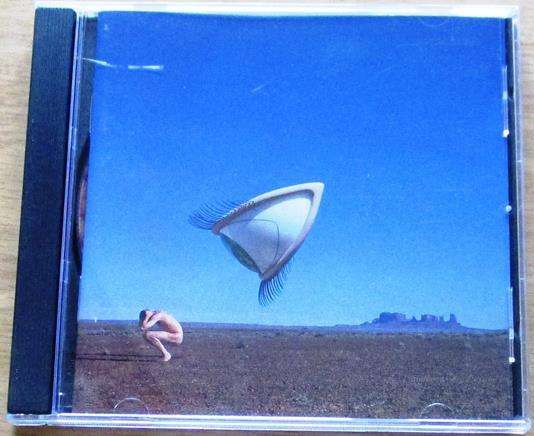 THE CRANBERRIES Bury the Hatchet CD [Vx2]