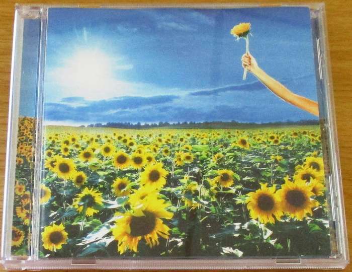 STONE TEMPLE PILOTS Thank You CD (Vx5]