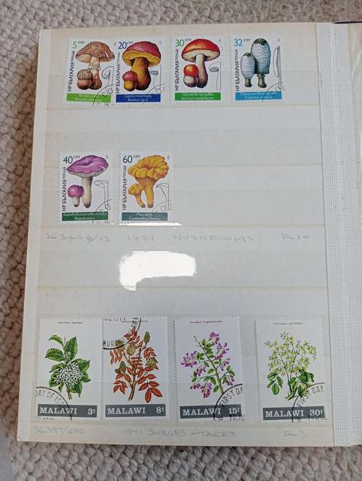 Thematic Sets
