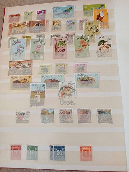 KUT-SCARCE COLLECTION in stock book QEII Pound,many high values etc MUST SEE BELOW