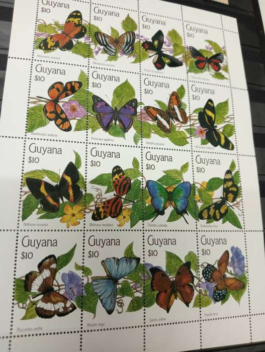GUYANA-Butterflies   SCARCE full sheet SUPERB umm
