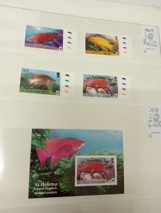 FISH AND BIRDS SCARCE superb umm lots R1000.00  -see below !!