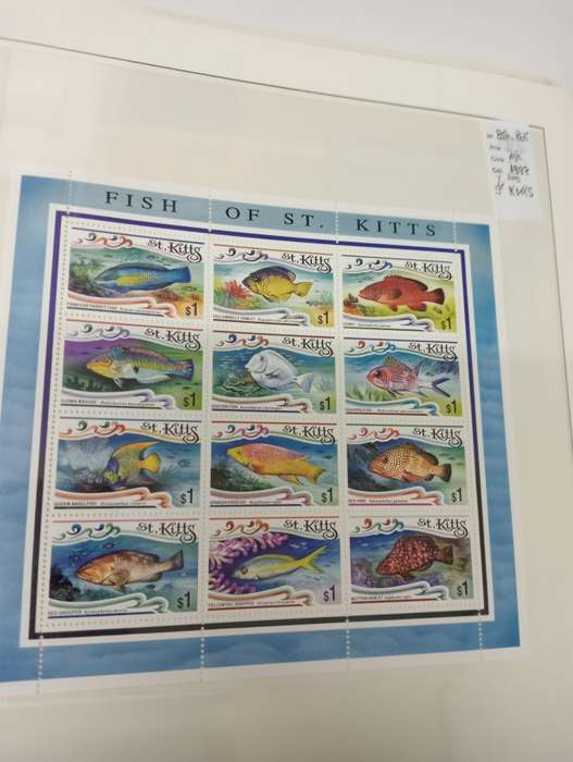 FISH AND BIRDS SCARCE superb umm lots   -see below !!