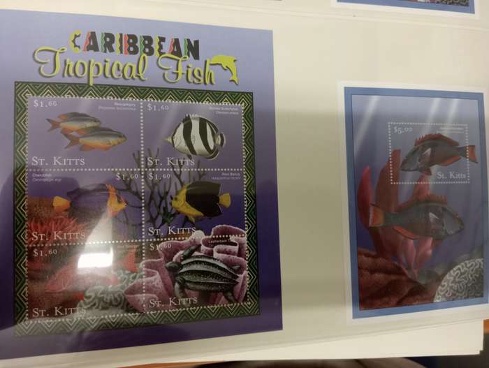 FISH AND BIRDS SCARCE superb umm lots   -see below !!
