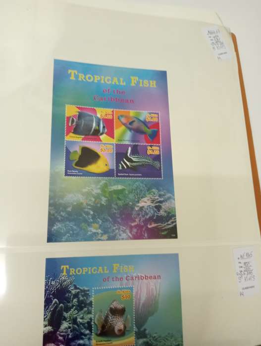 FISH AND BIRDS SCARCE superb umm lots   -see below !!