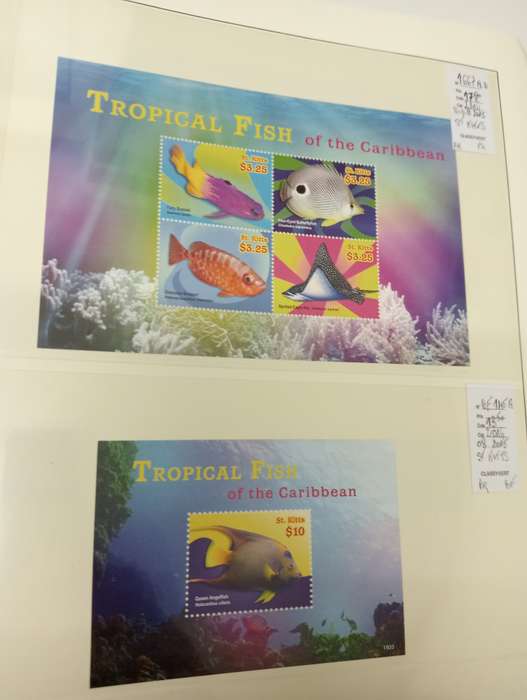 FISH AND BIRDS SCARCE superb umm lots   -see below !!