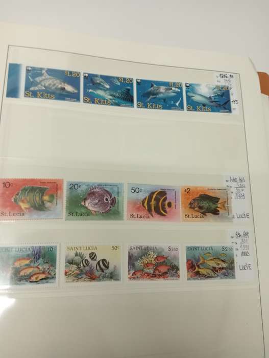 FISH AND BIRDS SCARCE superb umm lots   -see below !!