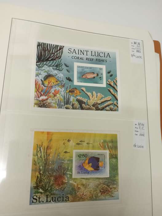 FISH AND BIRDS SCARCE superb umm lots   -see below !!
