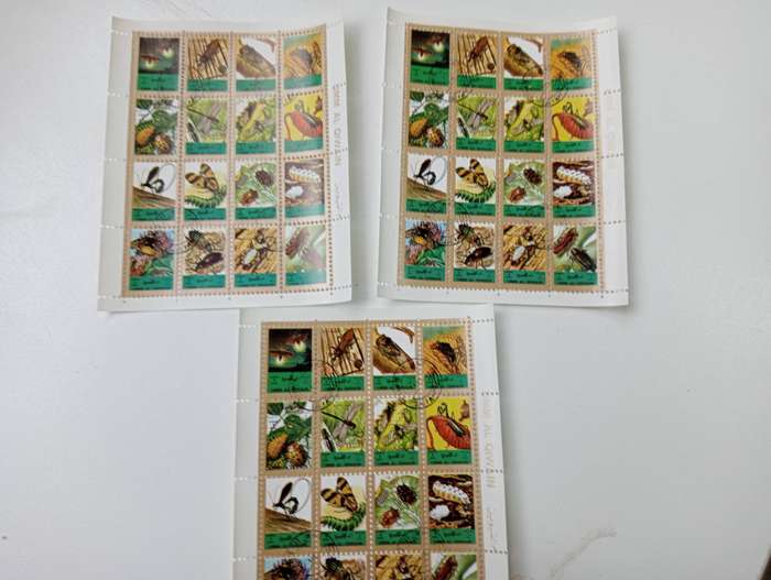 INSECTS -THREE DIFFICULT vfu SHEETS