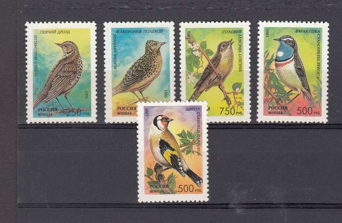 RUSSIA-BIRDS superb umm set