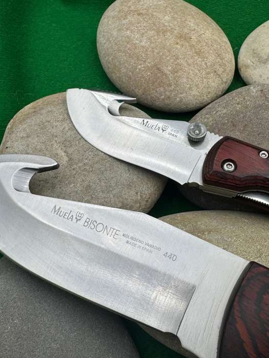 MUELA KNIVES SPAIN. BISONTE 11R KNIFE. + Folding Gut HOOK