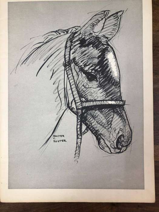 How to draw Horses - Walter Foster (Paperback)