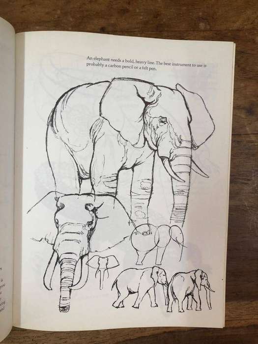 Draw Wild Animals - David Brown (Paperback)