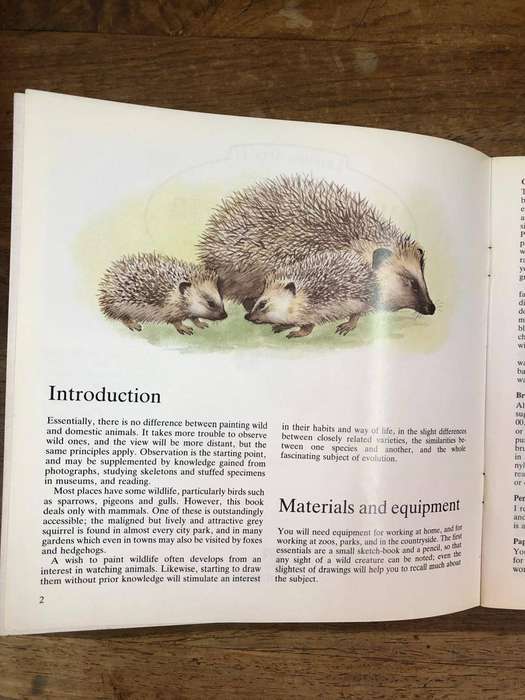 Painting Wild Animals in Watercolour - Sally Michel (Paperback)