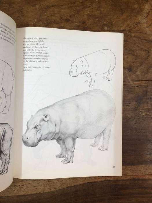 Draw Wild Animals - David Brown (Paperback)