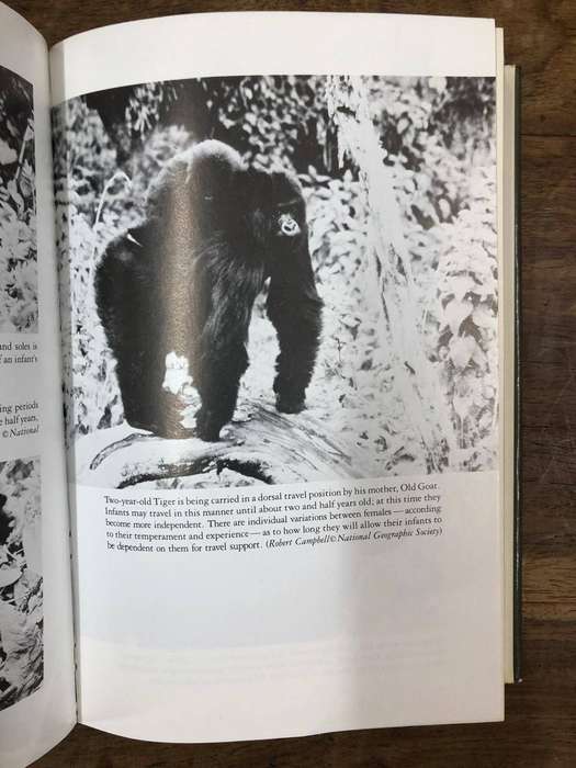 Gorillas in the Mist - Dian Fossey (Hardcover with dj)