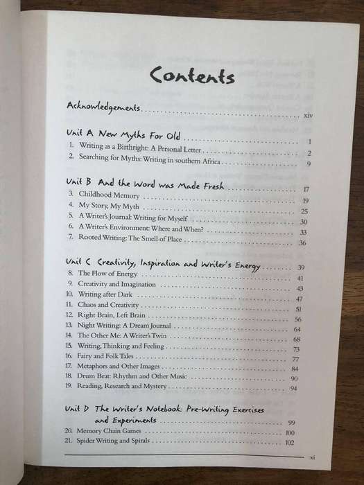 The Writer's Voice - Dorian Haarhoff (Paperback)